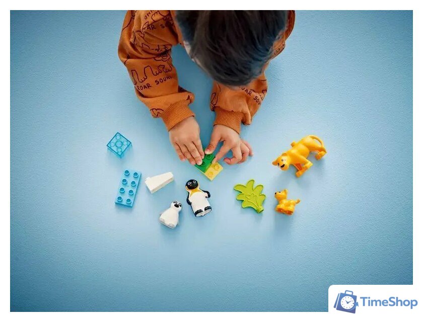 Конструктор LEGO Duplo Семейства диких животных: Пингвины и Львы 10442 - Изображение №8 — Интернет-магазин Time-Shop
