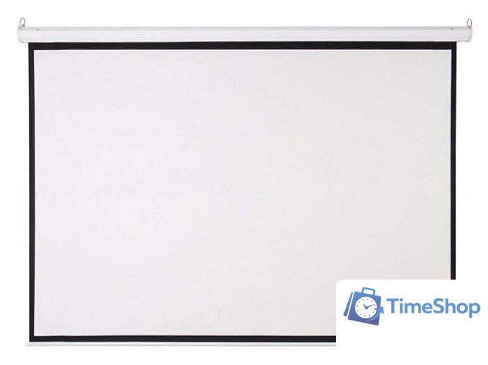 Проекционный экран Future Vision Video 200x150 W200VMW - Изображение №1 — Интернет-магазин Time-Shop