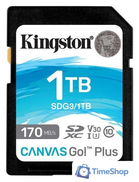 Карта памяти Kingston Canvas Go! Plus SDXC 1TB - Изображение №1 — Интернет-магазин Time-Shop