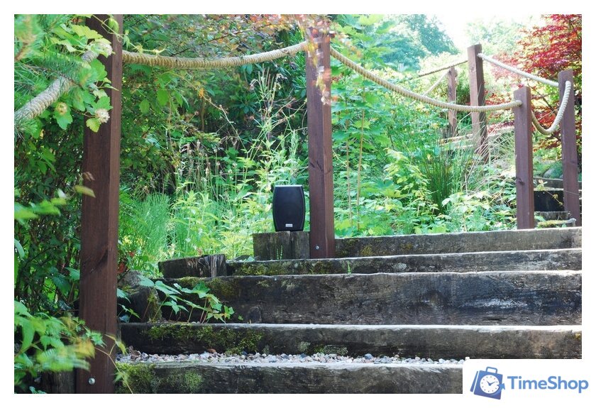  Taga Harmony TOS-315 (черный) - Изображение №7 — Интернет-магазин Time-Shop