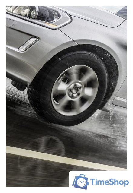 Летние шины Nokian Tyres Nordman S2 SUV 265/60R18 110V - Изображение №10 — Интернет-магазин Time-Shop