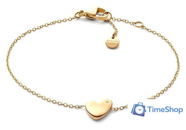 Браслет Skagen SKJ1569710 - Изображение №1 — Интернет-магазин Time-Shop