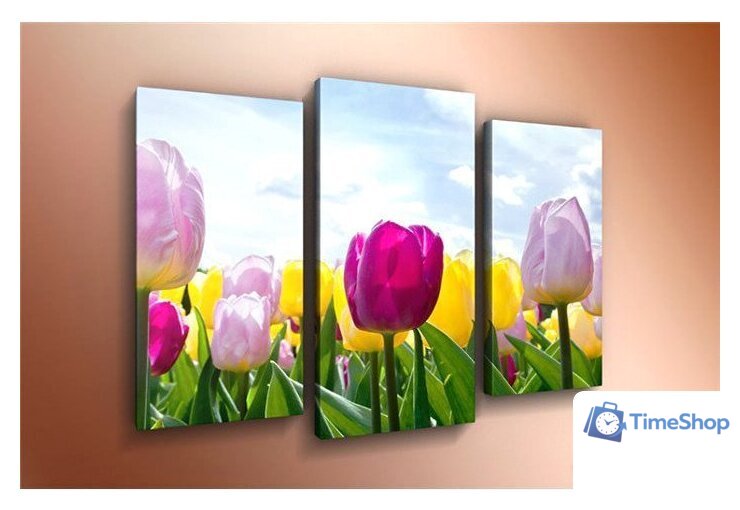 Модульная картина Arthata m-000566 120x80 - Изображение №1 — Интернет-магазин Time-Shop