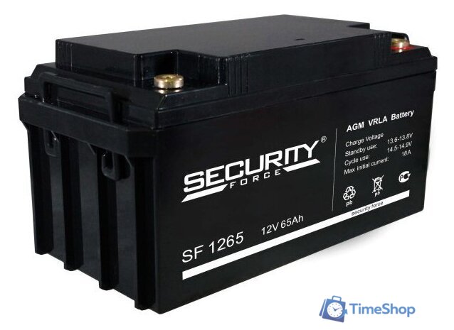 Аккумулятор для ИБП Security Force SF 1265 (12В/65 А·ч) - Изображение №1 — Интернет-магазин Time-Shop