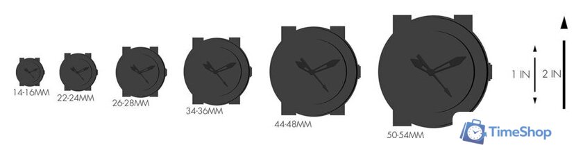 Наручные часы Timex TW2P75600 - Изображение №6 — Интернет-магазин Time-Shop