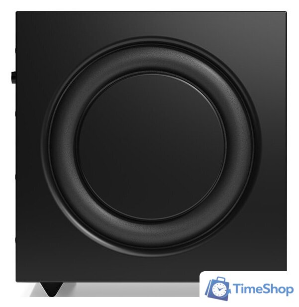 Проводной сабвуфер Audio Pro SW-10 (черный) - Изображение №3 — Интернет-магазин Time-Shop