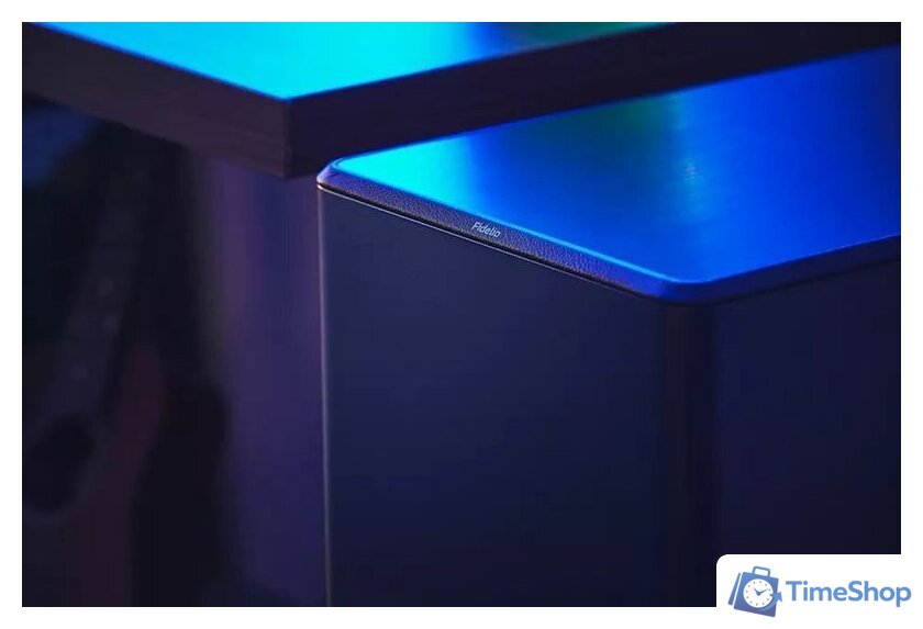 Беспроводной сабвуфер Philips Fidelio TAFW1/10 - Изображение №3 — Интернет-магазин Time-Shop