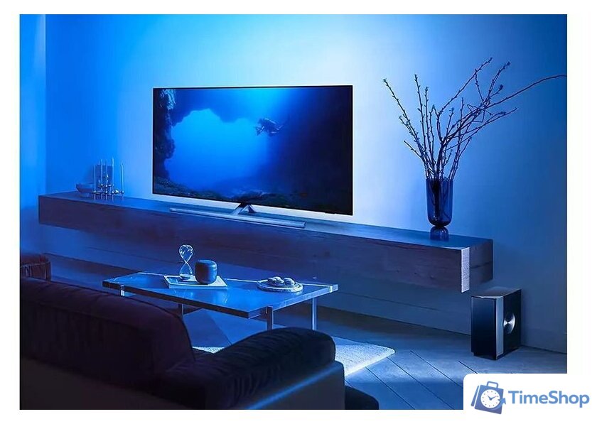 Беспроводной сабвуфер Philips Fidelio TAFW1/10 - Изображение №14 — Интернет-магазин Time-Shop