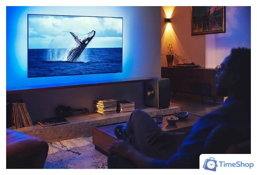 Беспроводной сабвуфер Philips Fidelio TAFW1/10 - Изображение №22 — Интернет-магазин Time-Shop