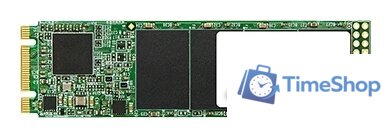 SSD Transcend MTS820S 240GB TS240GMTS820S - Изображение №1 — Интернет-магазин Time-Shop