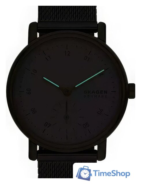 Наручные часы Skagen SKW3101 - Изображение №3 — Интернет-магазин Time-Shop