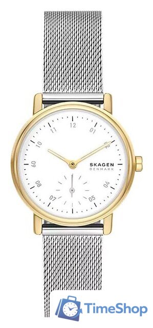 Наручные часы Skagen SKW3101 - Изображение №1 — Интернет-магазин Time-Shop