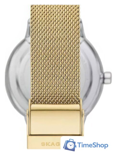 Наручные часы Skagen SKW3101 - Изображение №2 — Интернет-магазин Time-Shop