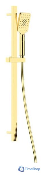 Душевой гарнитур  Deante Alpinia NGA_Z52K - Изображение №1 — Интернет-магазин Time-Shop