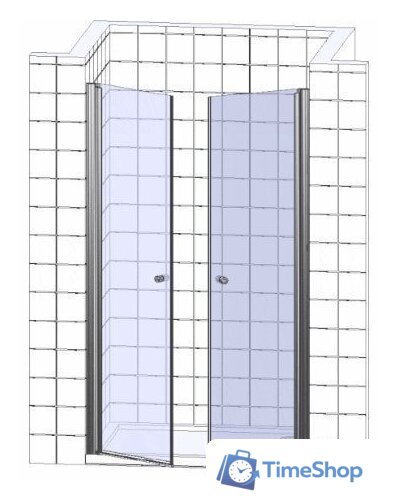 Душевая дверь WeltWasser WW600 600K2-120 - Изображение №3 — Интернет-магазин Time-Shop