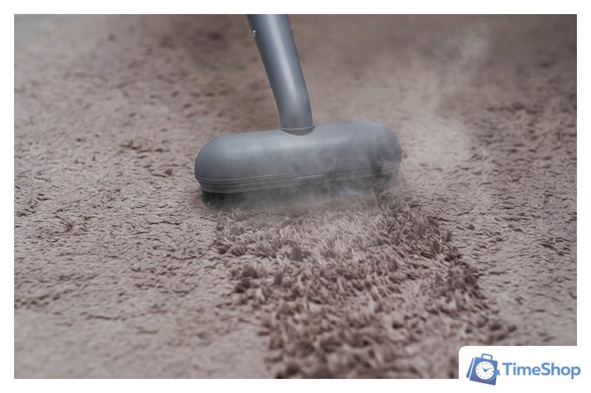 Пароочиститель Bort BDR-3000-RR - Изображение №26 — Интернет-магазин Time-Shop