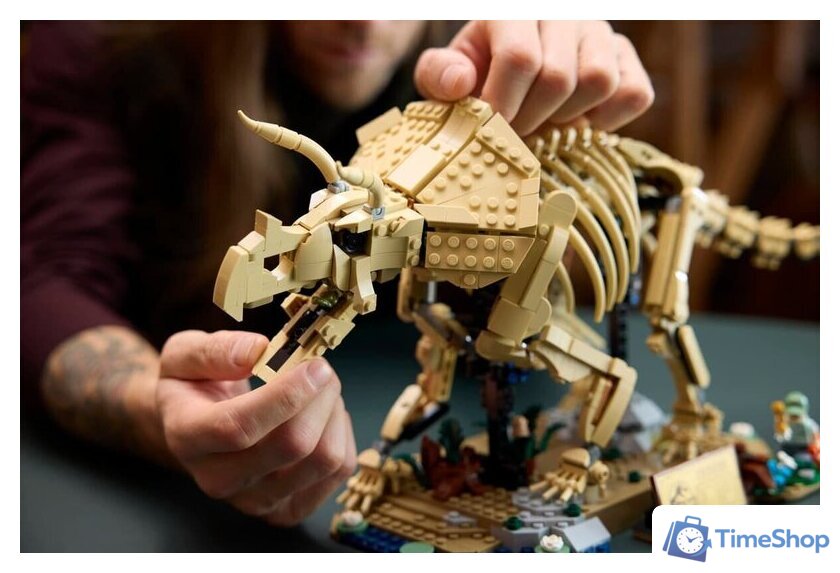 Конструктор LEGO Jurassic World 77985 Окаменелости динозавров: Трицератопс - Изображение №12 — Интернет-магазин Time-Shop
