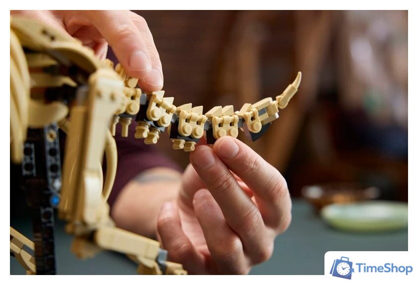Конструктор LEGO Jurassic World 77985 Окаменелости динозавров: Трицератопс - Изображение №10 — Интернет-магазин Time-Shop
