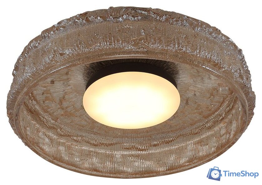 Подвесная люстра ST Luce SL6143.422.01 - Изображение №1 — Интернет-магазин Time-Shop