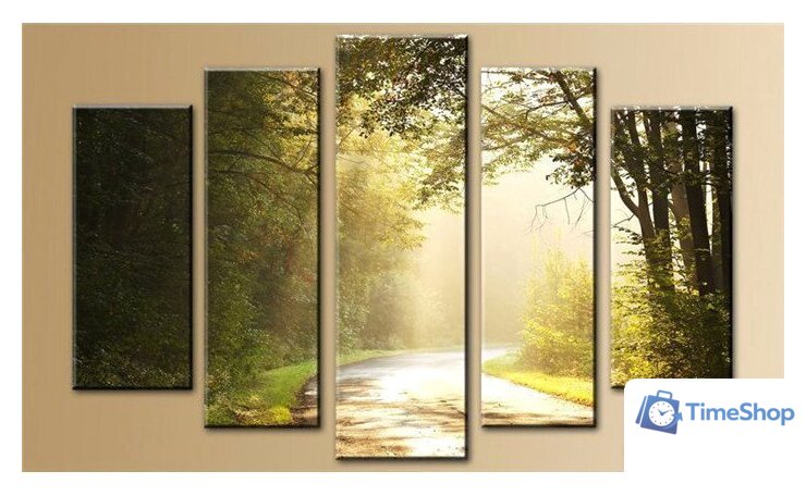 Модульная картина Arthata 5m-513 160x90 - Изображение №1 — Интернет-магазин Time-Shop
