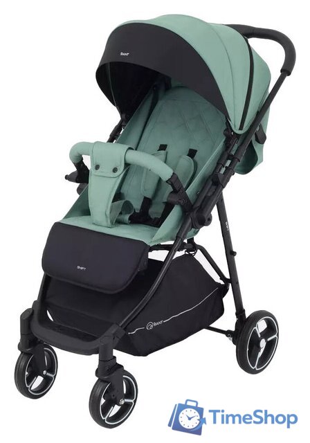 Коляска прогулочная «книга» Rant Shift RA250 (forest green) - Изображение №1 — Интернет-магазин Time-Shop
