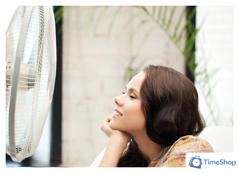 Вентилятор Kanlux Veneto-23GR - Изображение №2 — Интернет-магазин Time-Shop