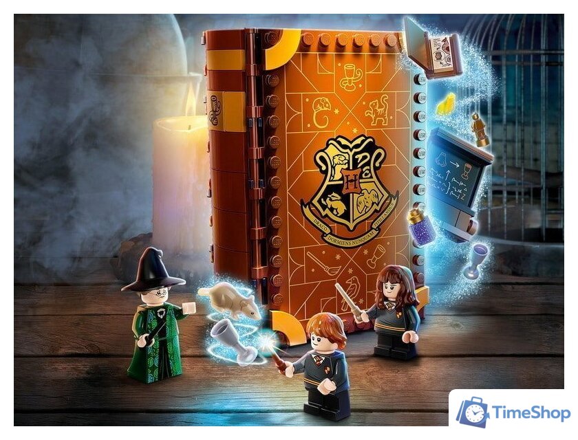Конструктор LEGO Harry Potter 76382 Учеба в Хогвартсе: Урок трансфигурации - Изображение №25 — Интернет-магазин Time-Shop