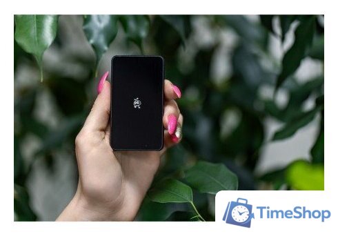 Внешний накопитель SmartBuy P5 Pro SBD256P5BU3C 256GB (черный) - Изображение №5 — Интернет-магазин Time-Shop