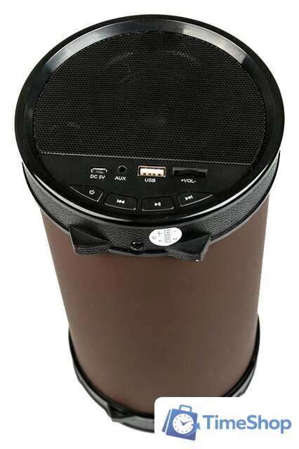 Беспроводная колонка Dialog AP-1000 - Изображение №2 — Интернет-магазин Time-Shop