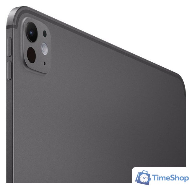 Планшет Apple iPad Pro 13