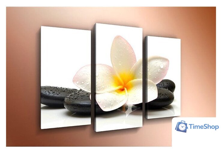 Модульная картина Arthata m-000120 120x80 - Изображение №1 — Интернет-магазин Time-Shop