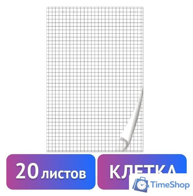 Бумага для флипчарта BRAUBERG 128645 (20 листов, клетка) - Изображение №1 — Интернет-магазин Time-Shop