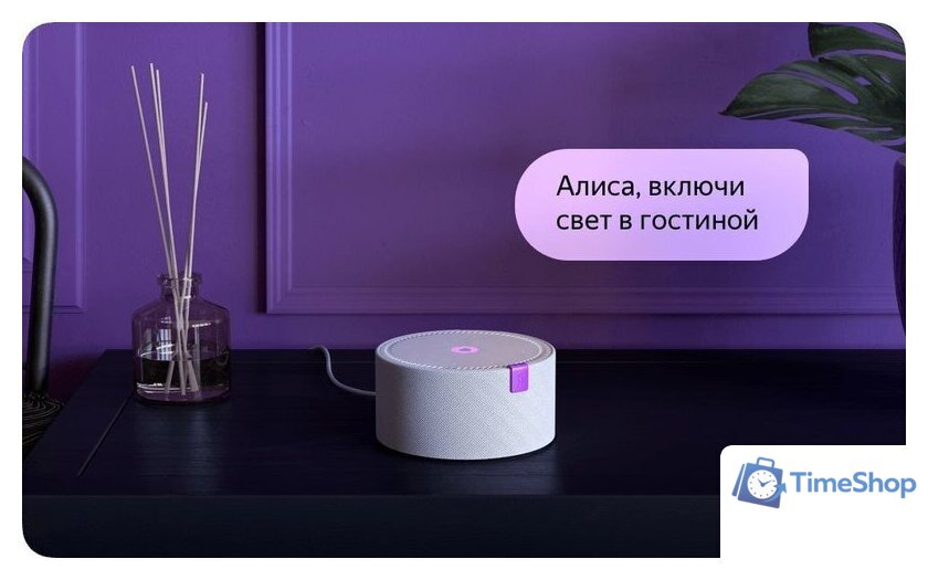 Умная колонка Яндекс Станция Мини (белый) + 3 игрушки Холодное сердце - Изображение №15 — Интернет-магазин Time-Shop