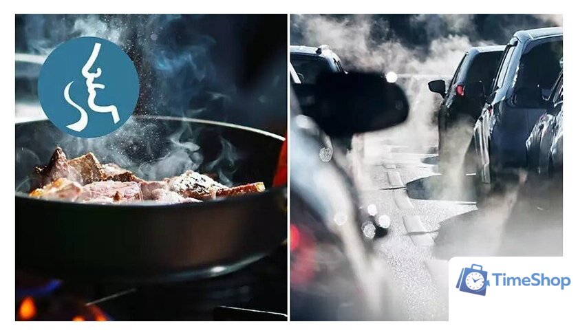 Очиститель воздуха Philips AC0951/13 - Изображение №6 — Интернет-магазин Time-Shop