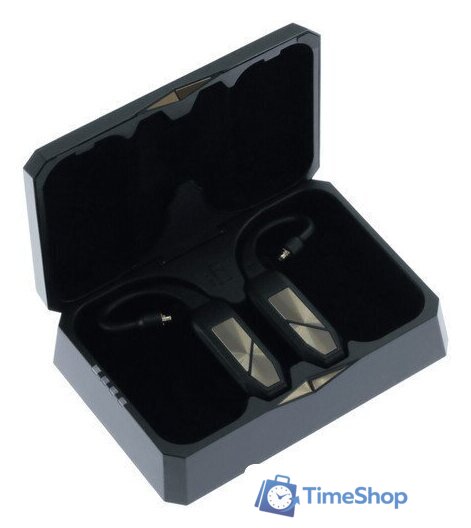 TWS-модуль iFi audio GO pod - Изображение №3 — Интернет-магазин Time-Shop