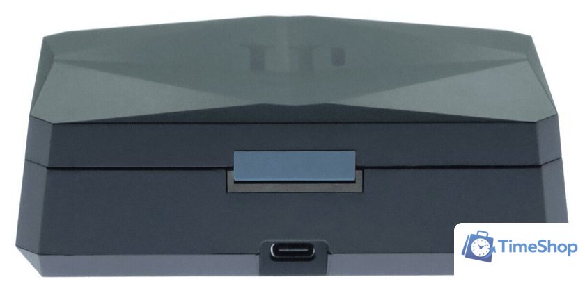 TWS-модуль iFi audio GO pod - Изображение №2 — Интернет-магазин Time-Shop