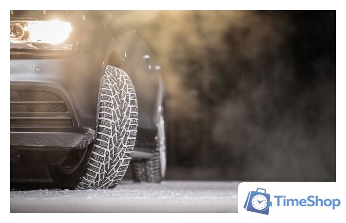 Зимние шины Nokian Tyres Nordman 7 175/70R13 82T (шипы) - Изображение №5 — Интернет-магазин Time-Shop