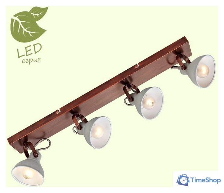 Спот Lussole Loft GRLSP-9829 - Изображение №1 — Интернет-магазин Time-Shop