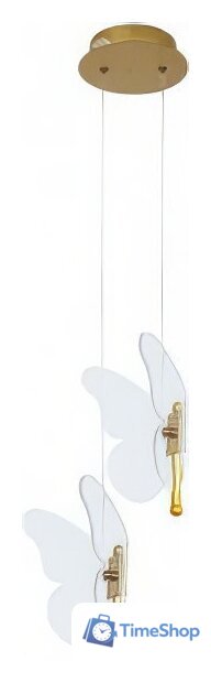 Подвесная люстра Arte Lamp Darcy A2187SP-2GO - Изображение №1 — Интернет-магазин Time-Shop