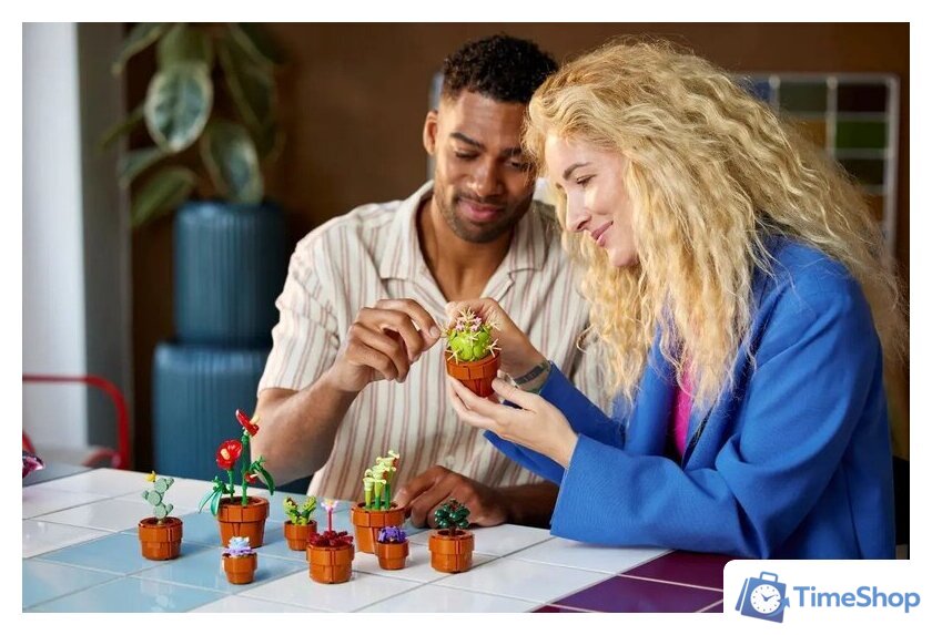 Конструктор LEGO Icons 10329 Крошечные Растения - Изображение №7 — Интернет-магазин Time-Shop