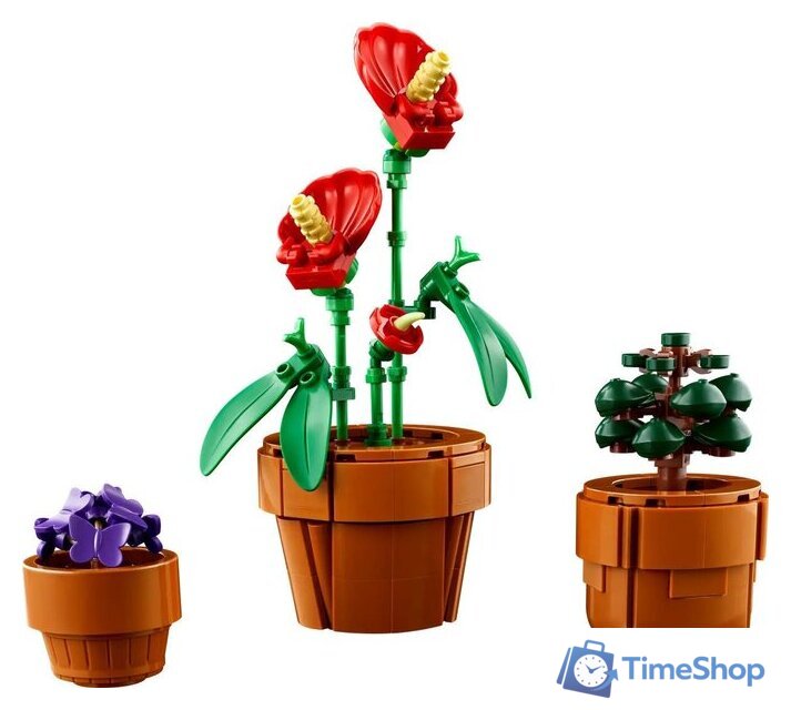 Конструктор LEGO Icons 10329 Крошечные Растения - Изображение №5 — Интернет-магазин Time-Shop
