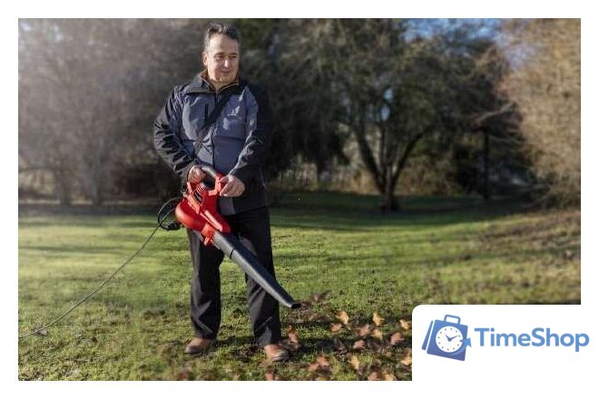 Колесная воздуходувка Einhell GC-EL 3000 E - Изображение №2 — Интернет-магазин Time-Shop