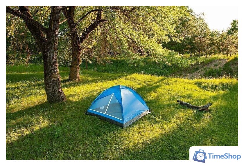 Треккинговая палатка Calviano Acamper Domepack 4 (синий) - Изображение №8 — Интернет-магазин Time-Shop