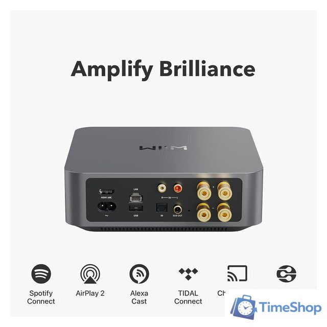 Сетевой интегральный усилитель WiiM Amp (серый) - Изображение №3 — Интернет-магазин Time-Shop