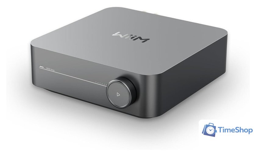 Сетевой интегральный усилитель WiiM Amp (серый) - Изображение №2 — Интернет-магазин Time-Shop