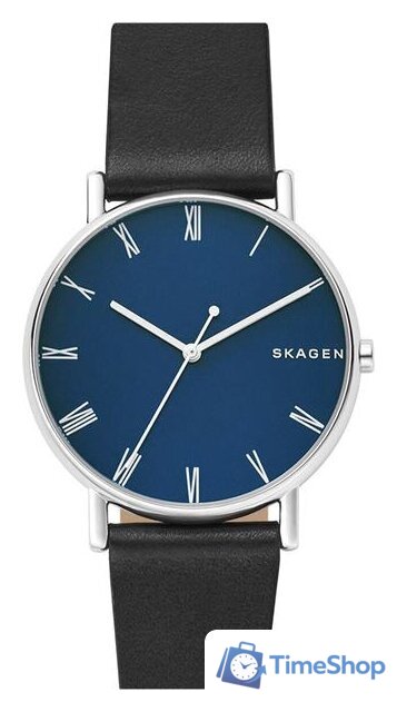 Наручные часы Skagen SKW6434 - Изображение №1 — Интернет-магазин Time-Shop