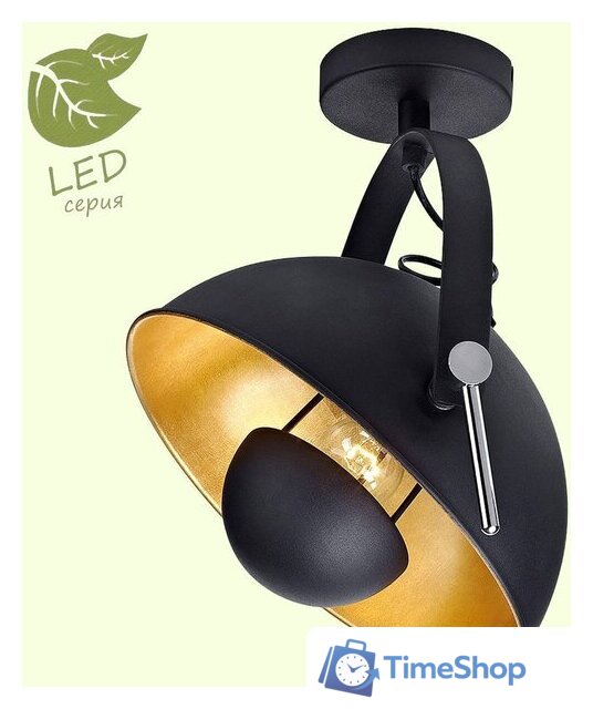 Припотолочная люстра Lussole Loft Sherrelwood GRLSP-9825 - Изображение №1 — Интернет-магазин Time-Shop