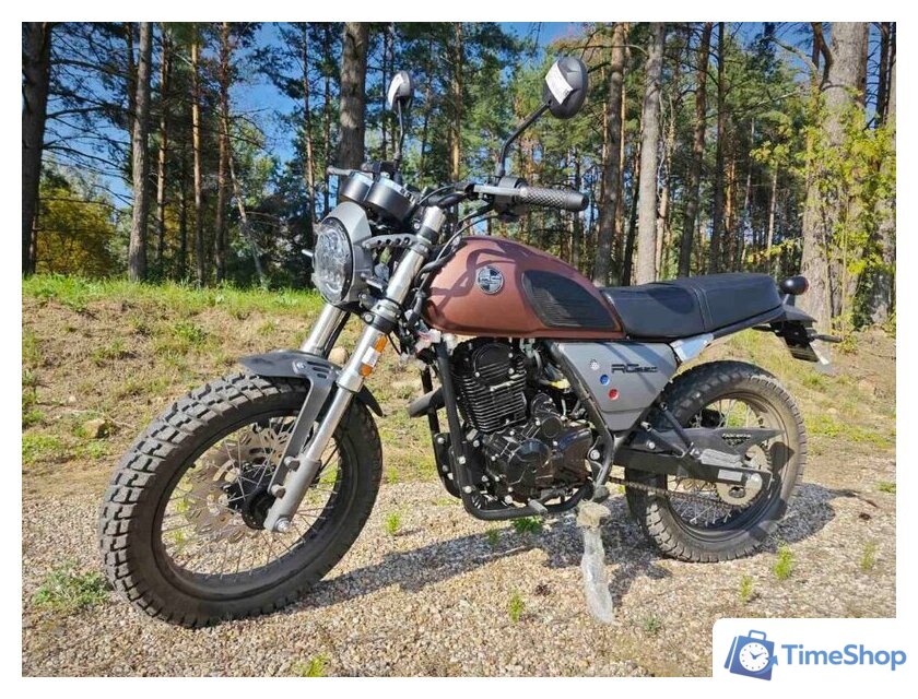 Мотоцикл Racer RC250CK-A Triumph (коричневый) - Изображение №1 — Интернет-магазин Time-Shop