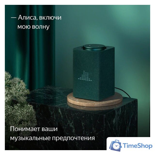 Умная колонка Яндекс Станция Макс (с хабом умного дома Zigbee, зеленый) - Изображение №10 — Интернет-магазин Time-Shop