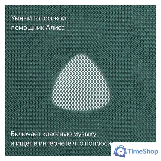 Умная колонка Яндекс Станция Макс (с хабом умного дома Zigbee, зеленый) - Изображение №9 — Интернет-магазин Time-Shop